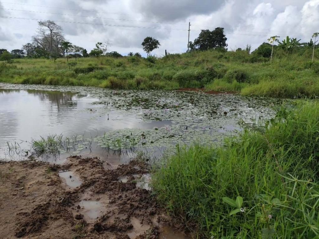 Tanzania Mission 2026 Water for Life Initiative